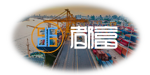 深圳都富保险咨询有限公司